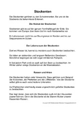 1-Fehlerlesen-Stockente-Text.pdf